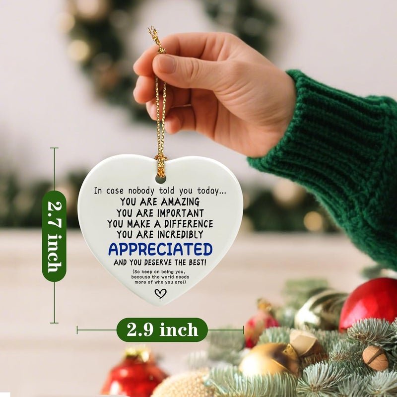 Jocidea in Case Nobody Told You Today: You are Amazing, Important & Make a Difference - Affirmations Sign | Office Gift, Appreciation Gifts, Thank You Gifts, Going Away, Retirement Gift | Christmas Ornament - Image 2
